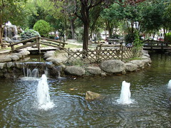 Пруды и фонтаны в городском парке