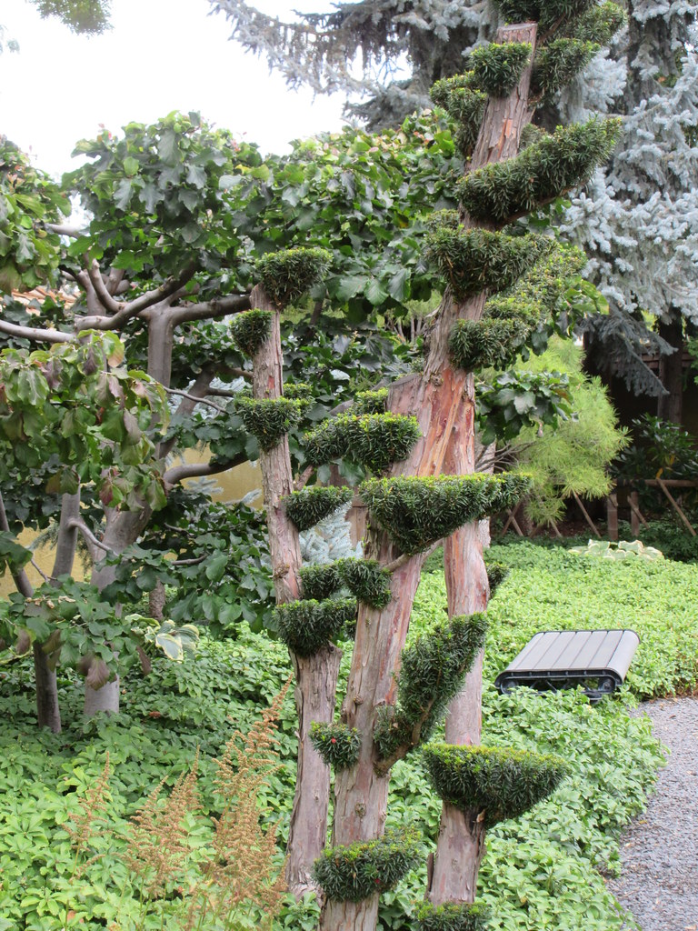 In the Kasugai Japanese Garden