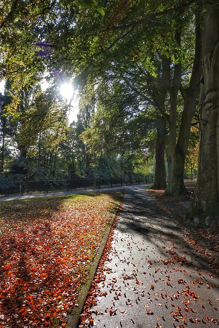 Sunny Autumn day, Congleton Park