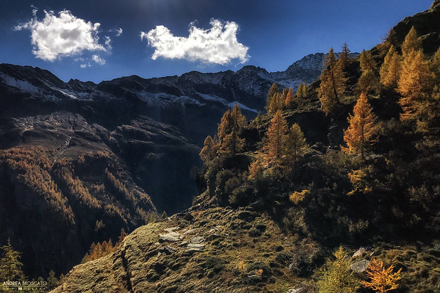 Alpe Cingino - Parco Naturale dell'Alta Valle Antrona (Italy)