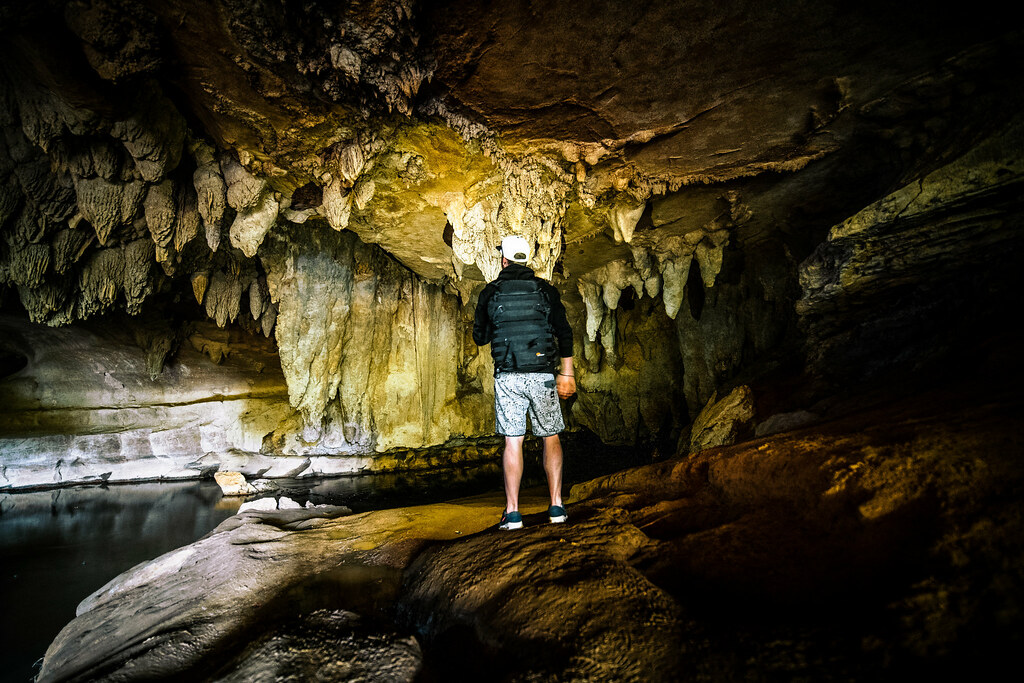 glow worm caves tour gold coast