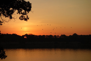 Lake Shelbyville Sunrise 2