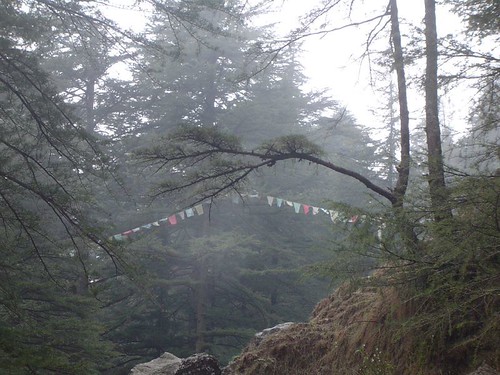 Prayer flags | by wendydavies