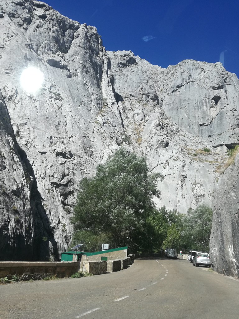 La Cocinona