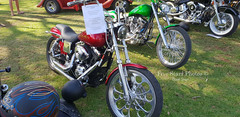 2001 Harley Davidson FXDL Bike