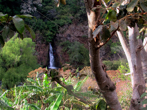 caminata catarata cascada ladera pendiente colina montaña arbusto madera vegetación naturaleza verdor campo rural cableado follaje