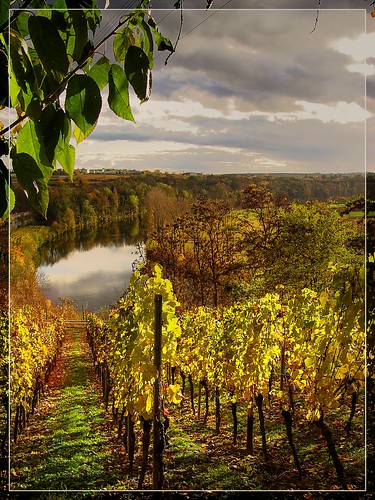 2009 autumn herbst hdr neckar river contest 4seasons jahreszeiten vineyard vineyards weinanbauregion ys10popularity 5000views best favoritsbernd panoramio321461028571393