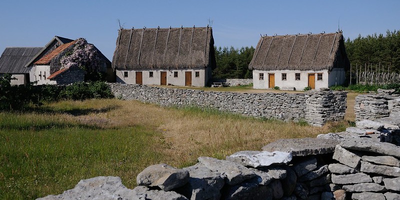 20180530-101F | Gehöft Bondans auf Fårö. Die Hausdächer sind traditionell gedeckt mit Binsen-Schneide (Cladium mariscus). Gotland/Schweden, 30.05.2018