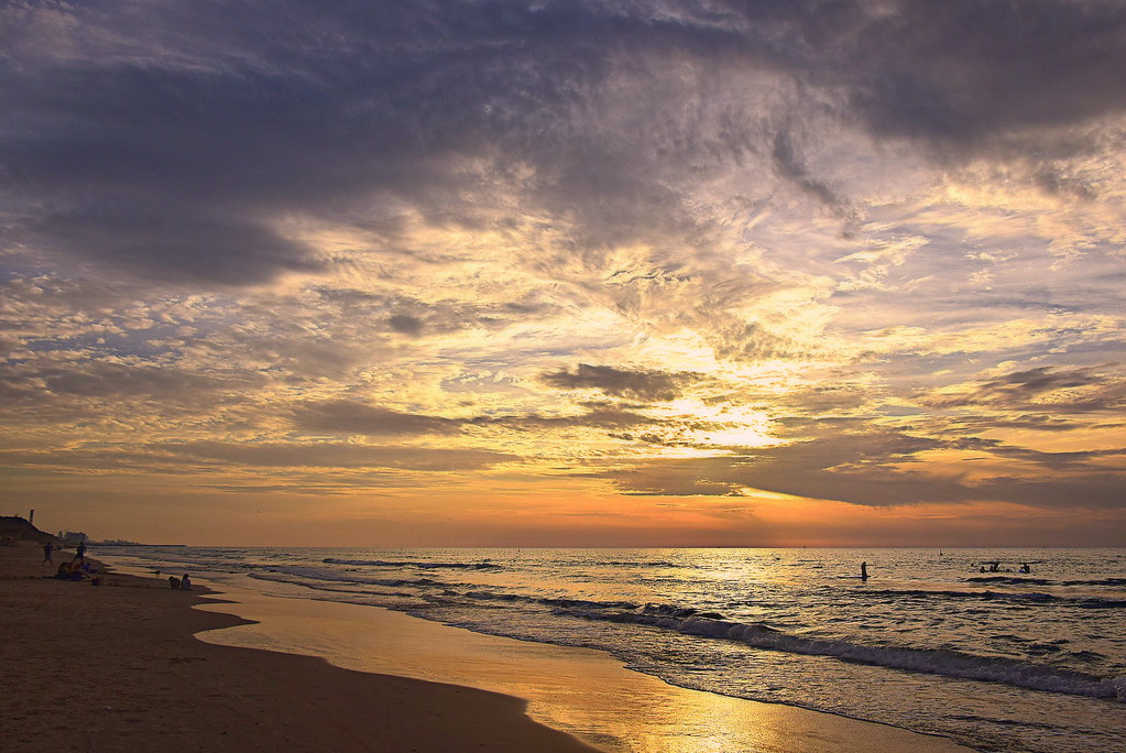 The golden beach | Roi.C . | Flickr