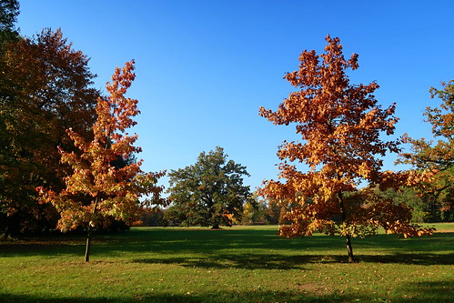 chateau park trees sky grass landscape autumn czechrepublic canonpowershotg7xmarkii