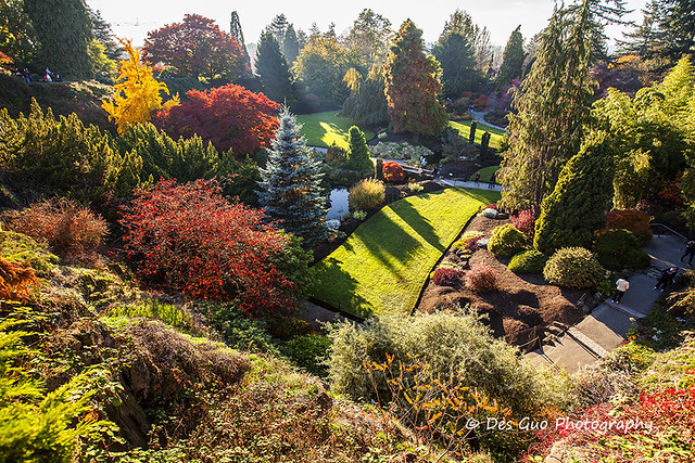 Colors of Fall, Queen Elizabeth Park, Vancouver BC