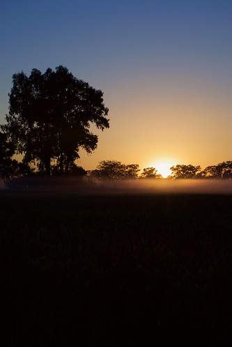 sunrise dawn countryside buenosaires argentina sun tree landscape