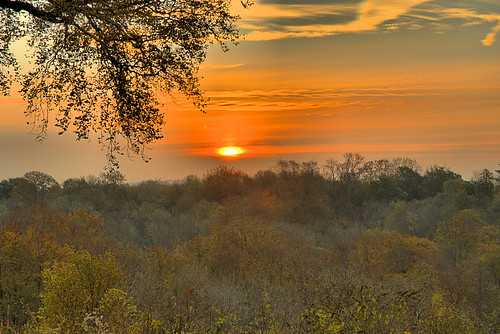 sunrise dawn daybreak morning sunset tree cloud red golden blue green leaves glow