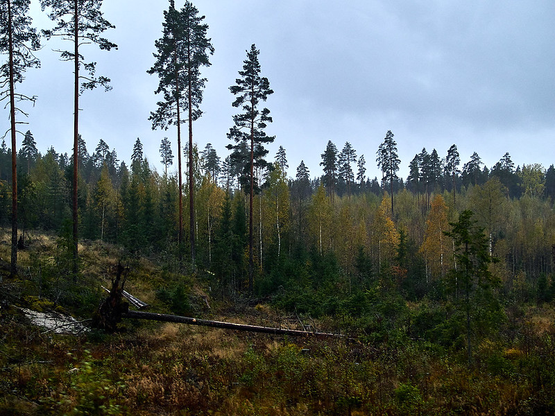 Joensuu-Helsinki (Autumn 2018)