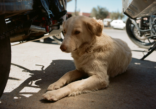 Untitled | by Joe Mayo Film