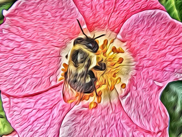 Rosa y abeja.fotopintura