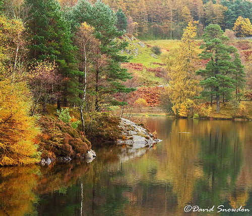 canoneos1100d davidsnowdonphotography landscape autumn fall nationaltrust tarnhows trees foliage colour woodland leaves tarn reflections