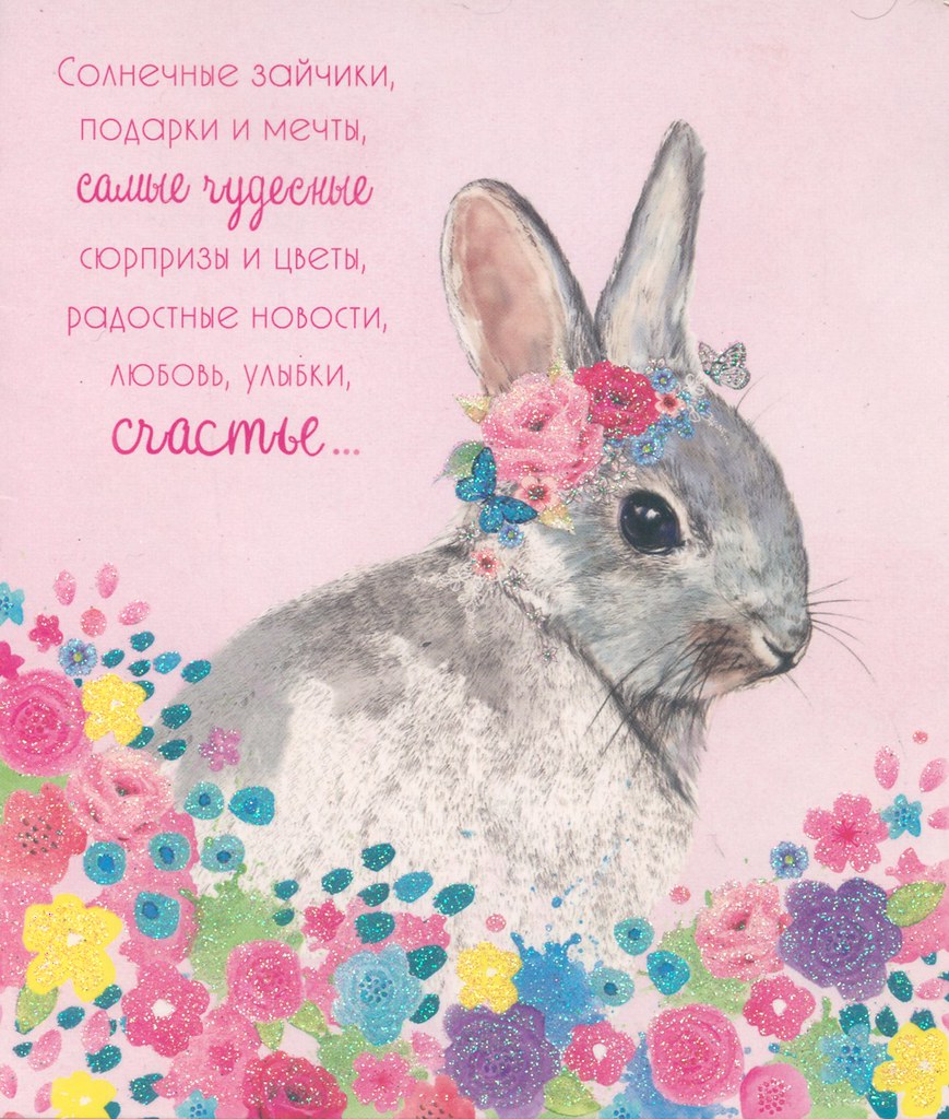 Поздравление зайца с днем рождения. Заяц открытка. Открытка Зайка. Открытка с зайчиком. С днем рождения заяц.