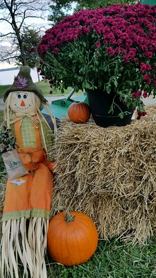 Scarecrow and haybales set up for a photobooth. 