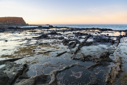 180millionyearsold curiobay jurassicforest nz newzealand southland fossil fossilizedforest rockshelf sea seashore sunrise