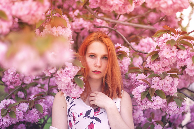 Belle aux Fleurs de Cerisier