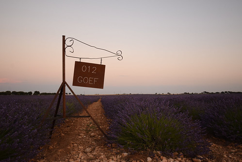 paisaje landscape brihuega sunset atardecer lavanda lavender