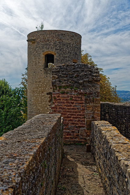 Château de Trévoux - Ain