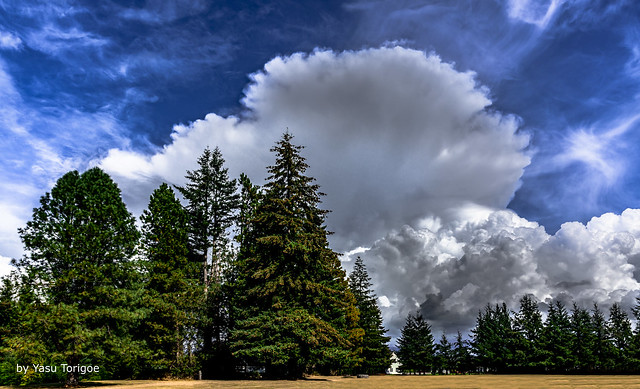 Storm Clouds Over the Northwest, Ferndale, WA USA-2