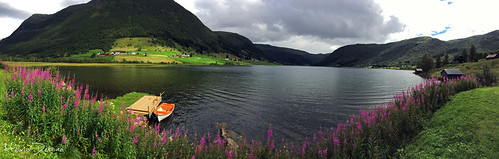 flickrtravelaward sogndal is municipality sogn og fjordane county norway it located northern shore sognefjorden traditional district melvin debono photography travel sogndalsfjora bøen flower flowers mountain grass sky tree wood boat pano panorama