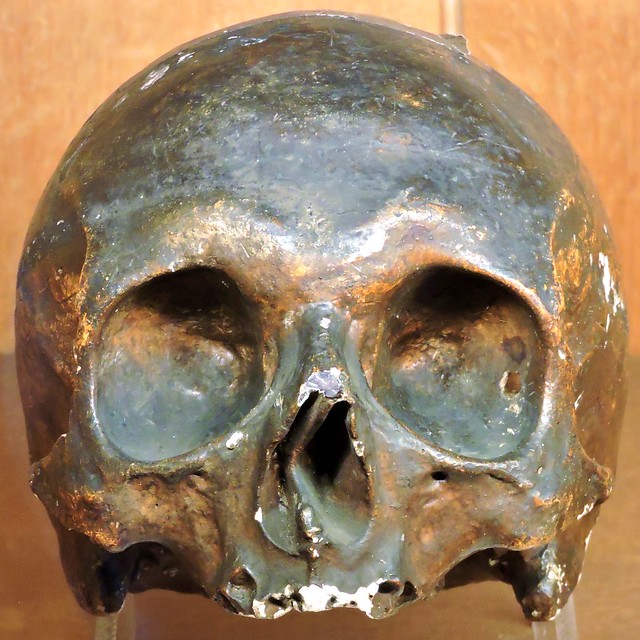 Cast of Jonathan Swift's skull