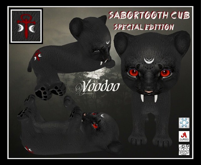 Black Sabortooth Voodoo Cub