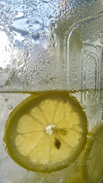Backlit slice of lemon in a jug of ice cold water