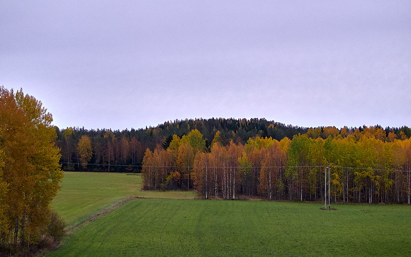 Joensuu-Helsinki (Autumn 2018)