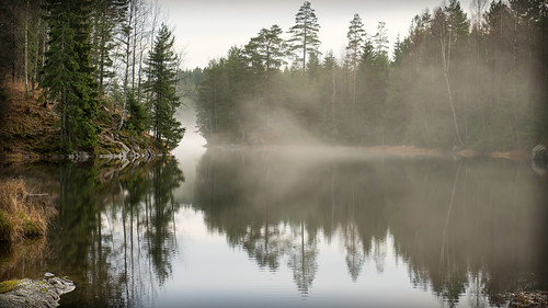 autumn fog forest norge norway høst lake landscape public reflection tåke wallpaper åmotdammen