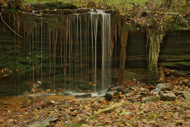 Small Waterfall and Roots