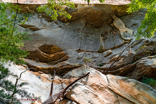 hdr hiking jamestown landscape meetup nashvillehikingmeetup nature poguecreekcanyonstatenaturalarea sharpplace sonya6500 sonyimages summer tennessee usa unitedstates uppercanyontrail outdoors exif:isospeed=1000 exif:aperture=ƒ80 exif:lens=epz18105mmf4goss exif:make=sony geo:country=unitedstates geo:city=jamestown exif:focallength=18mm geo:state=tennessee camera:model=ilce6500 geo:location=sharpplace geo:lat=36529708333333 camera:make=sony geo:lon=84823568333333 exif:model=ilce6500