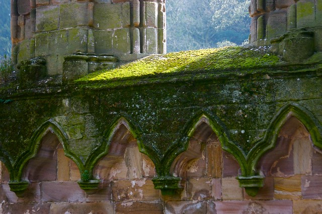 Mossy ruins, Fountains Abbey (NT)