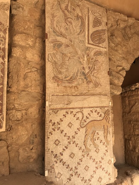 The Upper Mosaic of the Church at Massuh, Madaba Archaeological Park & Virgin Mary Church, Madaba, Jordan.