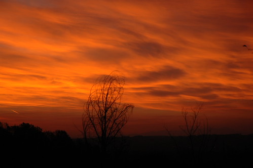 Zora rudi - Sunce samo što nije izašlo by fototeca51, Stepanje - Srbija