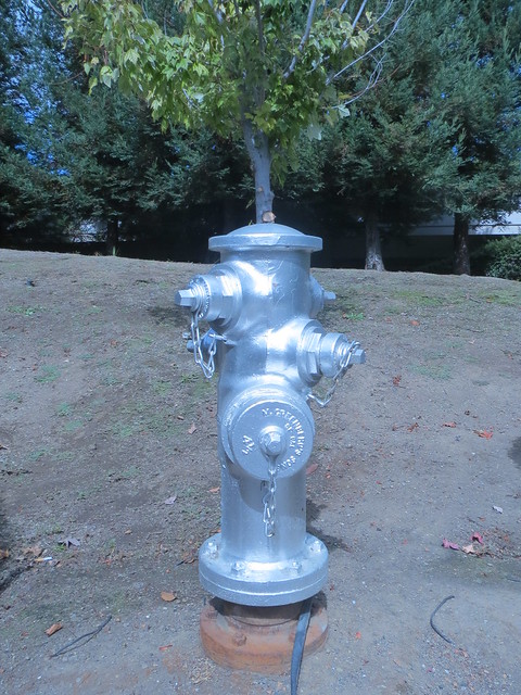 silver hydrant 10 3 18