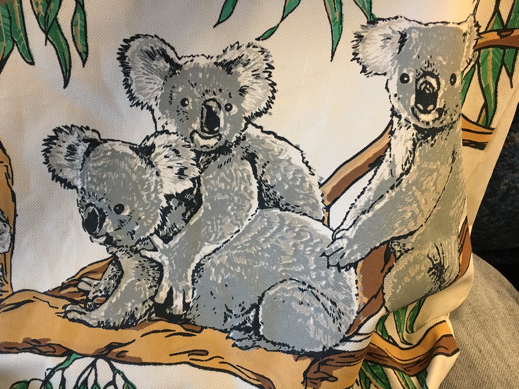 Dumb Koala Erotic Art. img koala sex on my apron geoff dude. 