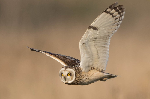 SEO | by karljohnson26031972