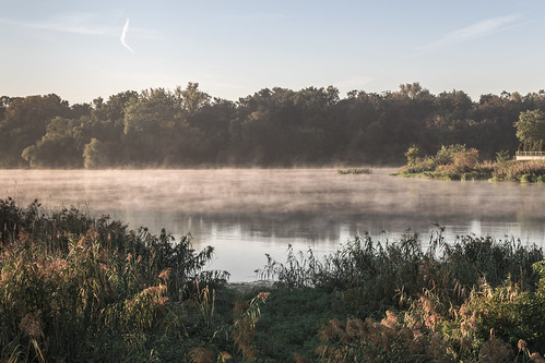 landscape river lake poland morning sunrise mist fog vapor dmoke grass plant beauty sky water forest meadow wroclaw