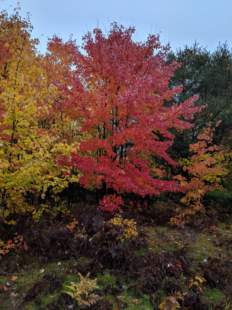 Valley Spur-Hemlock Valley