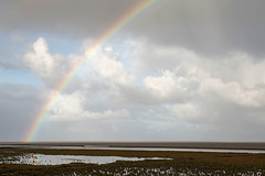 Rainbow over the Wadden Sea