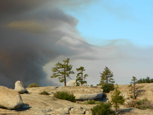 wildfire wildlandfire fires wildfires california