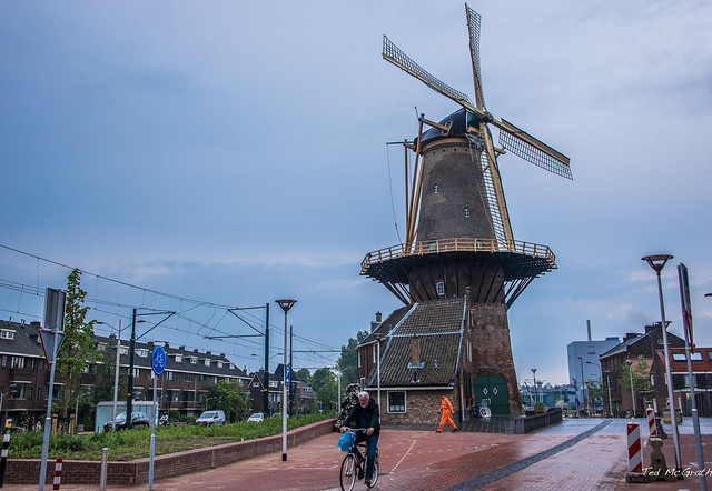 2018 - Delft - de Roos Windmill