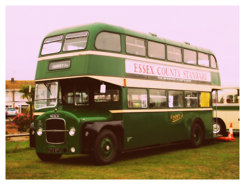 BUSES | Flickr