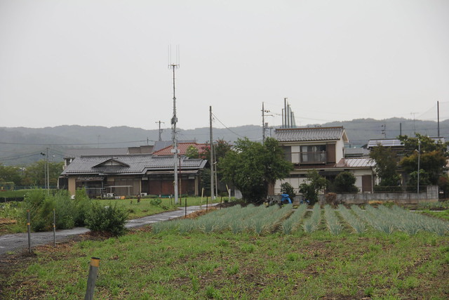 Outskirts of Akiruno 🇯🇵 10.09.2018