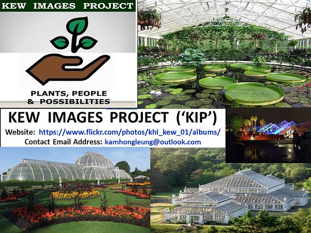 KEW Gardens' Photo Contest Winners Listing